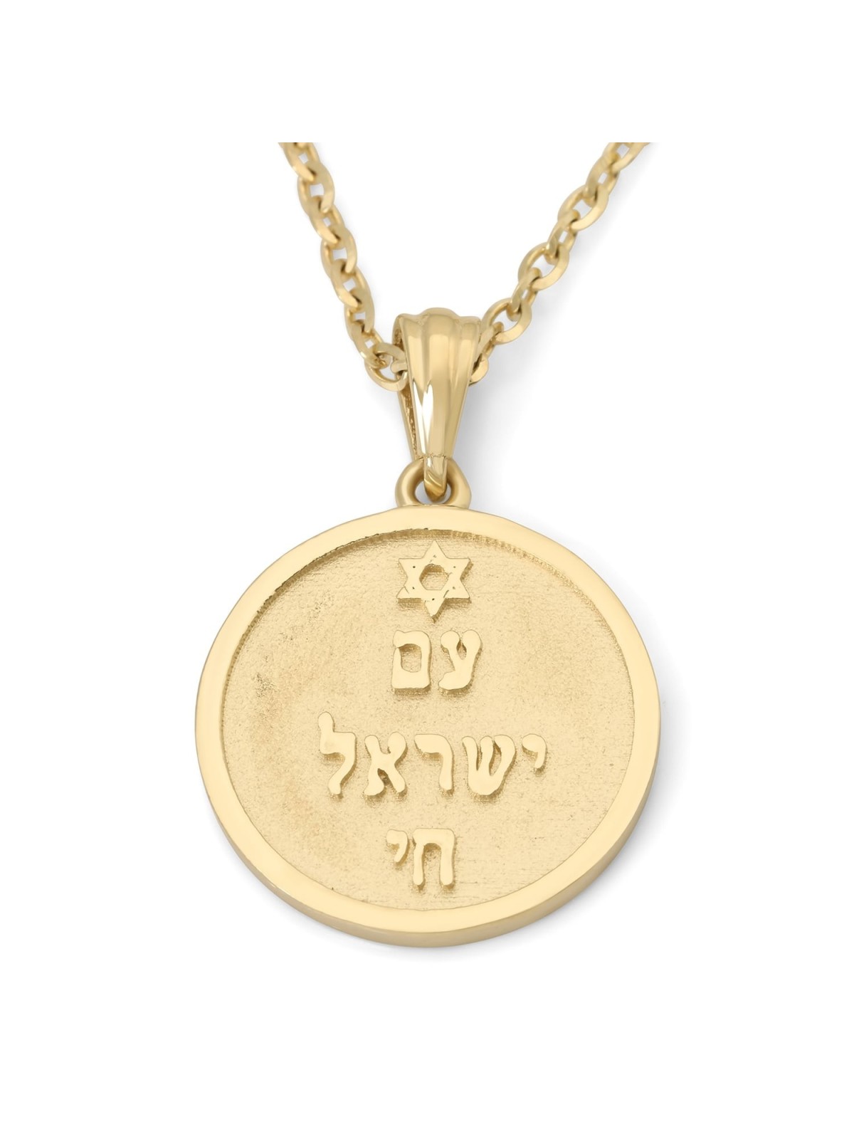 14K Gold Am Yisrael Chai Unisex Pendant Necklace with Star of David