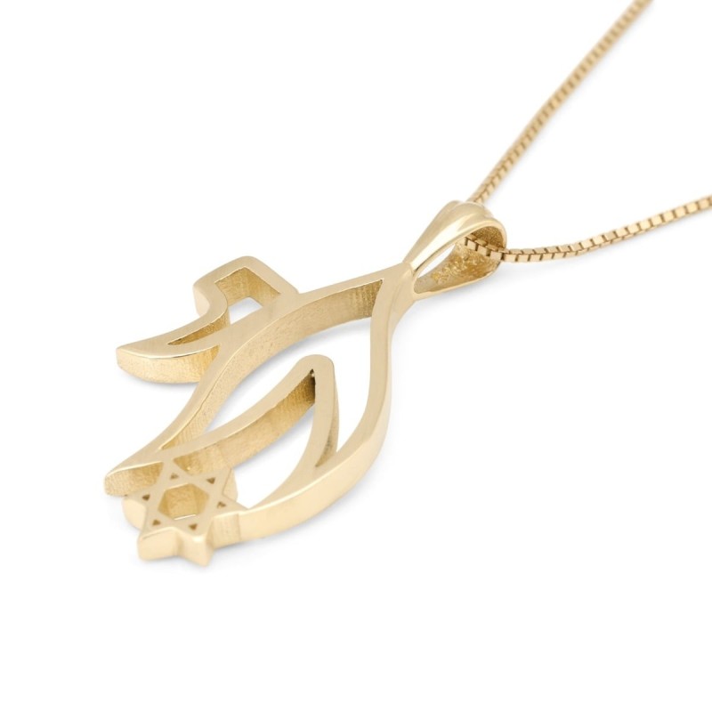Pendentif unisexe Chai et étoile de David en or 14 carats - Or jaune ou blanc