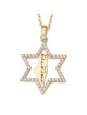 14K Gold No Other Land and Star of David Pendant with Cubic Zirconia S