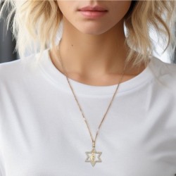 14K Gold No Other Land and Star of David Pendant with Cubic Zirconia S