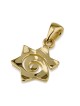 14K Gold Spiral Star of David Pendant Necklace - Yellow or White Gold