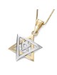 14K Yellow and White Gold Double Domed Star of David Pendant Necklace