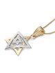 14K Yellow and White Gold Double Domed Star of David Pendant Necklace