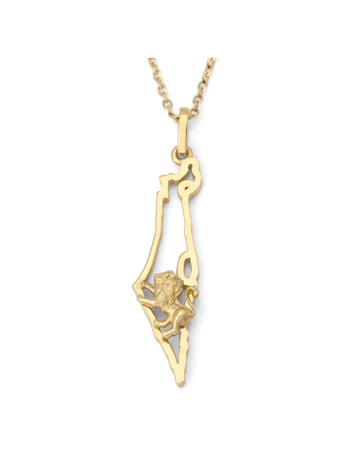 14K Gold Map of Israel and Lion of Judah Pendant - Color Option