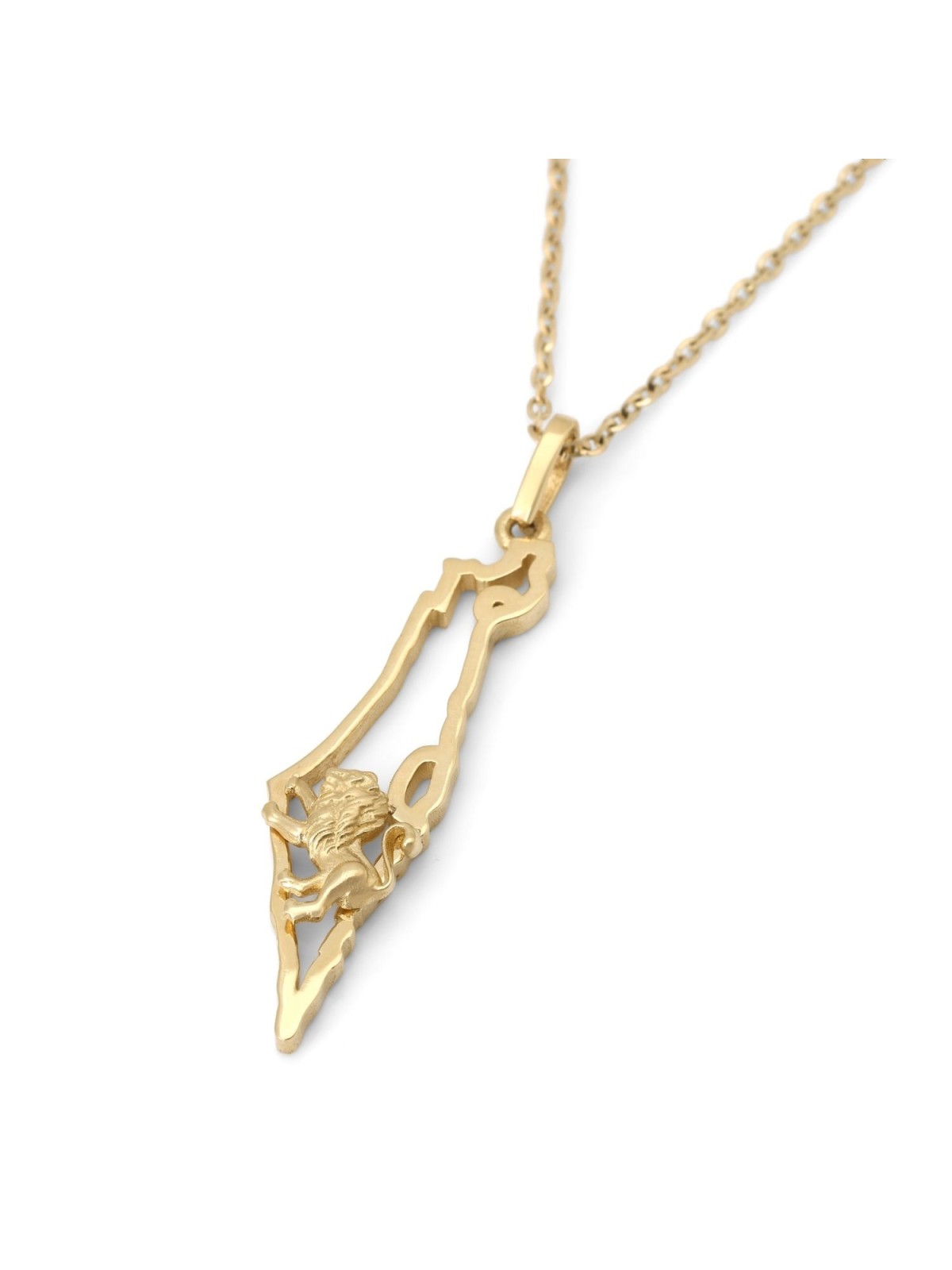 14K Gold Map of Israel and Lion of Judah Pendant - Color Option