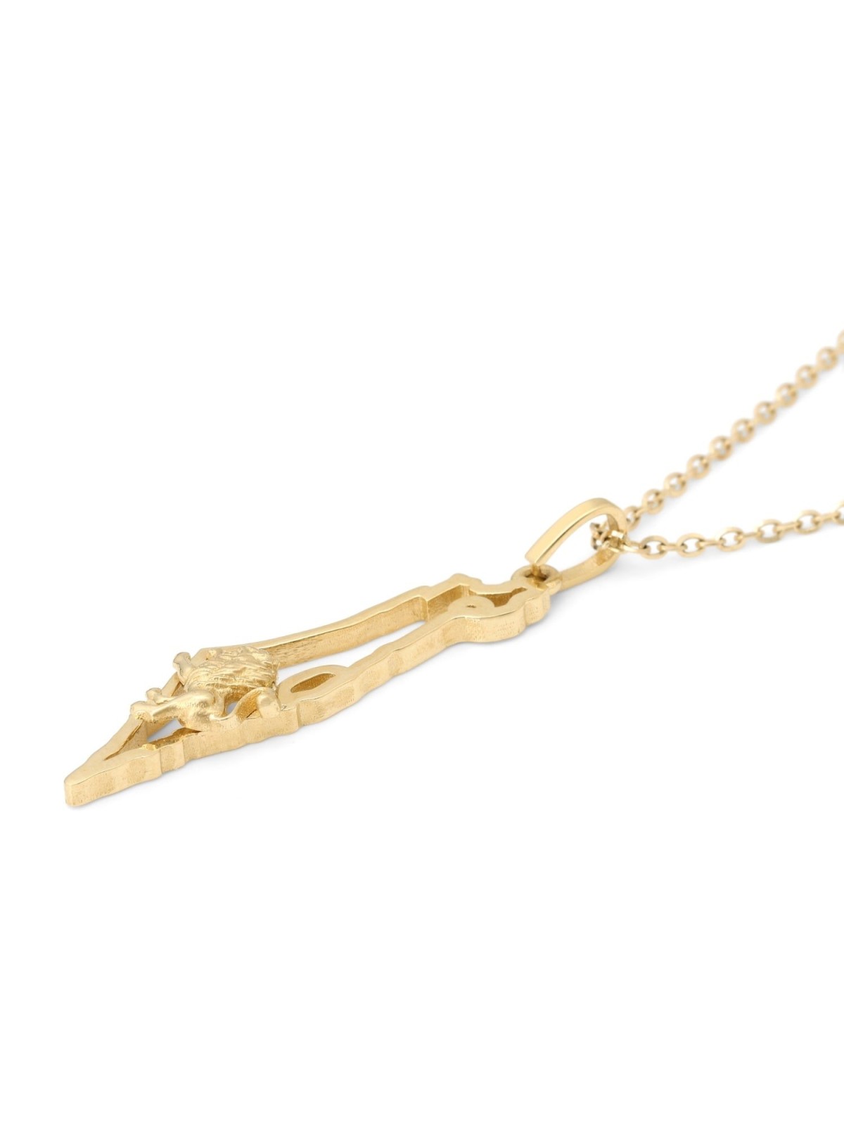 Carte en or 14 carats d’Israël et pendentif Lion de Juda - Option couleur