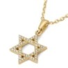 14K Gold Diamond Encrusted Star of David Unisex Pendant - Color Option