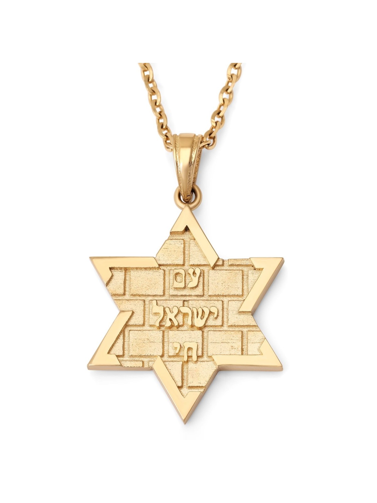 14K Gold Am Yisrael Chai & Star of David Pendant with Kotel Design - Y