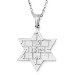 14K Gold Am Yisrael Chai & Star of David Pendant with Kotel Design - Y