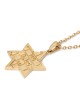 Pendentif Am Yisrael Chai et étoile de David en or 14 carats avec motif Kotel - Y