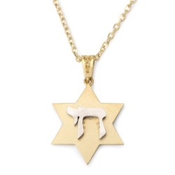14K Yellow Gold Star of David Unisex Pendant Necklace with Chai
