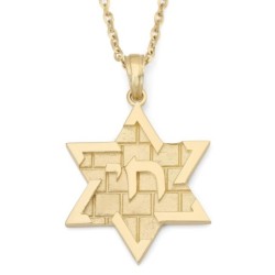 14K Gold Chai and Star of David Pendant with Western Wall Design - Col