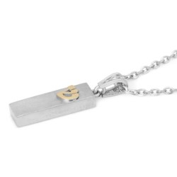 14K Gold Smooth Mezuzah Pendant with Shin