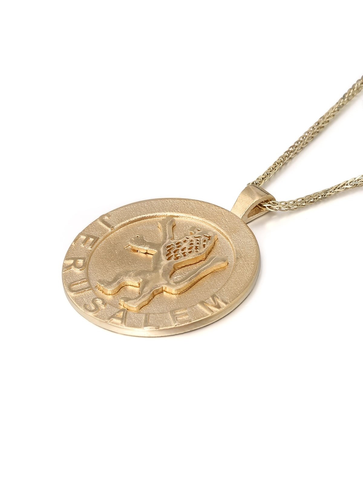 Pendentif circulaire Lion de Juda Jérusalem en or 14 carats pour hommes