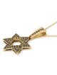Large 14K Yellow Gold Star of David Pendant with Black Diamonds and De