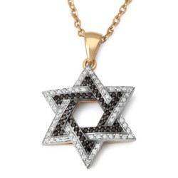 Anbinder Jewelry Two-Toned 14K Gold Star of David Pendant With White a