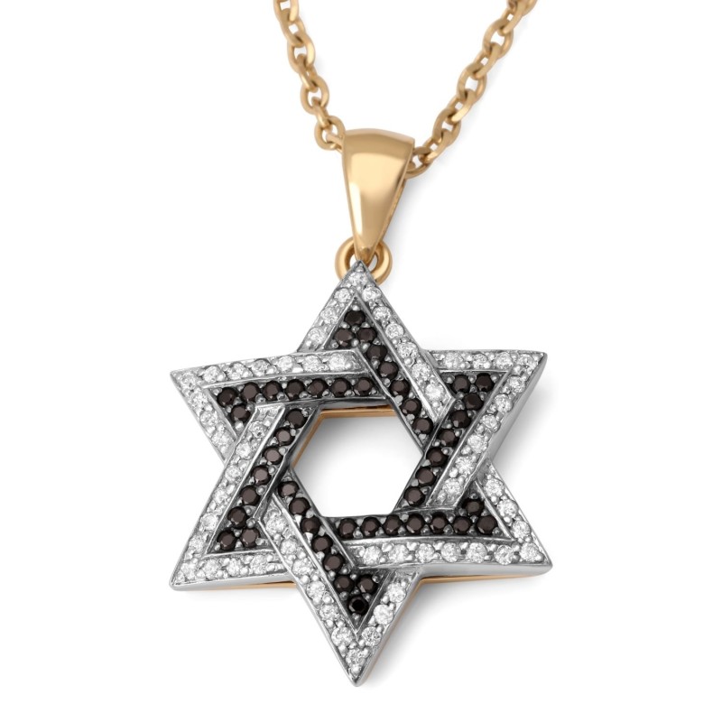 Anbinder Jewelry Pendentif étoile de David en or bicolore 14 carats avec a blanc
