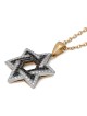 Anbinder Jewelry Two-Toned 14K Gold Star of David Pendant With White a