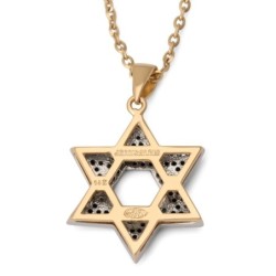 Anbinder Jewelry Two-Toned 14K Gold Star of David Pendant With White a