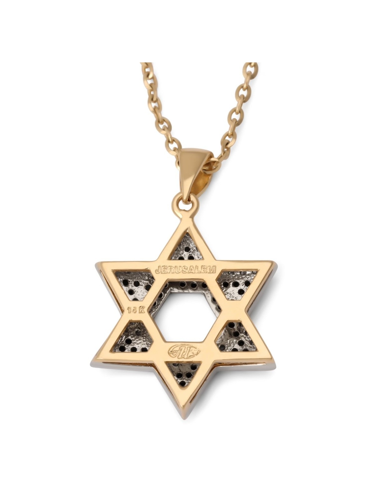 Anbinder Jewelry Two-Toned 14K Gold Star of David Pendant With White a