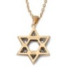 Anbinder Jewelry Two-Toned 14K Gold Star of David Pendant With White a
