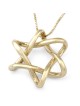 Collier moderne à pendentif étoile de David entrelacée en or 14 carats