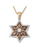 14K Gold Floral Star of David Pendant With 109 White & Champagne Diamo