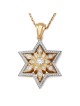 14K Gold Floral Star of David Pendant With 109 Diamonds