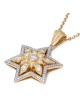 14K Gold Floral Star of David Pendant With 109 Diamonds