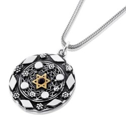 Silver Pendant Necklace with Gold Star of David and Red Garnet Gemston