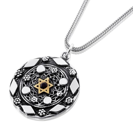 Silver Pendant Necklace with Gold Star of David and Red Garnet Gemston