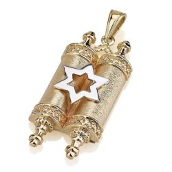 14K Gold Torah Scroll with Star of David Pendant