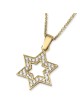 14K Yellow Gold Star of David Outline Pendant Necklace With Cubic Zirc