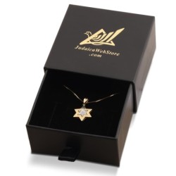 Double 14K Gold Star of David Pendant Necklace with Diamonds (Choice o