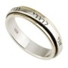 9K Gold and 925 Sterling Silver Ani LeDodi Spinner Ring Unisex - Song