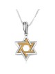 Sterling Silver and Gold Plated Star of David Necklace