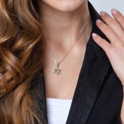Sterling Silver and Gold Plated Star of David Necklace