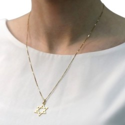 14K Gold Classic Star of David Pendant Necklace (Choice of Color)