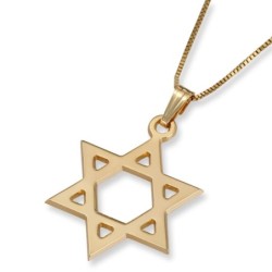 14K Gold Classic Star of David Pendant Necklace (Choice of Color)
