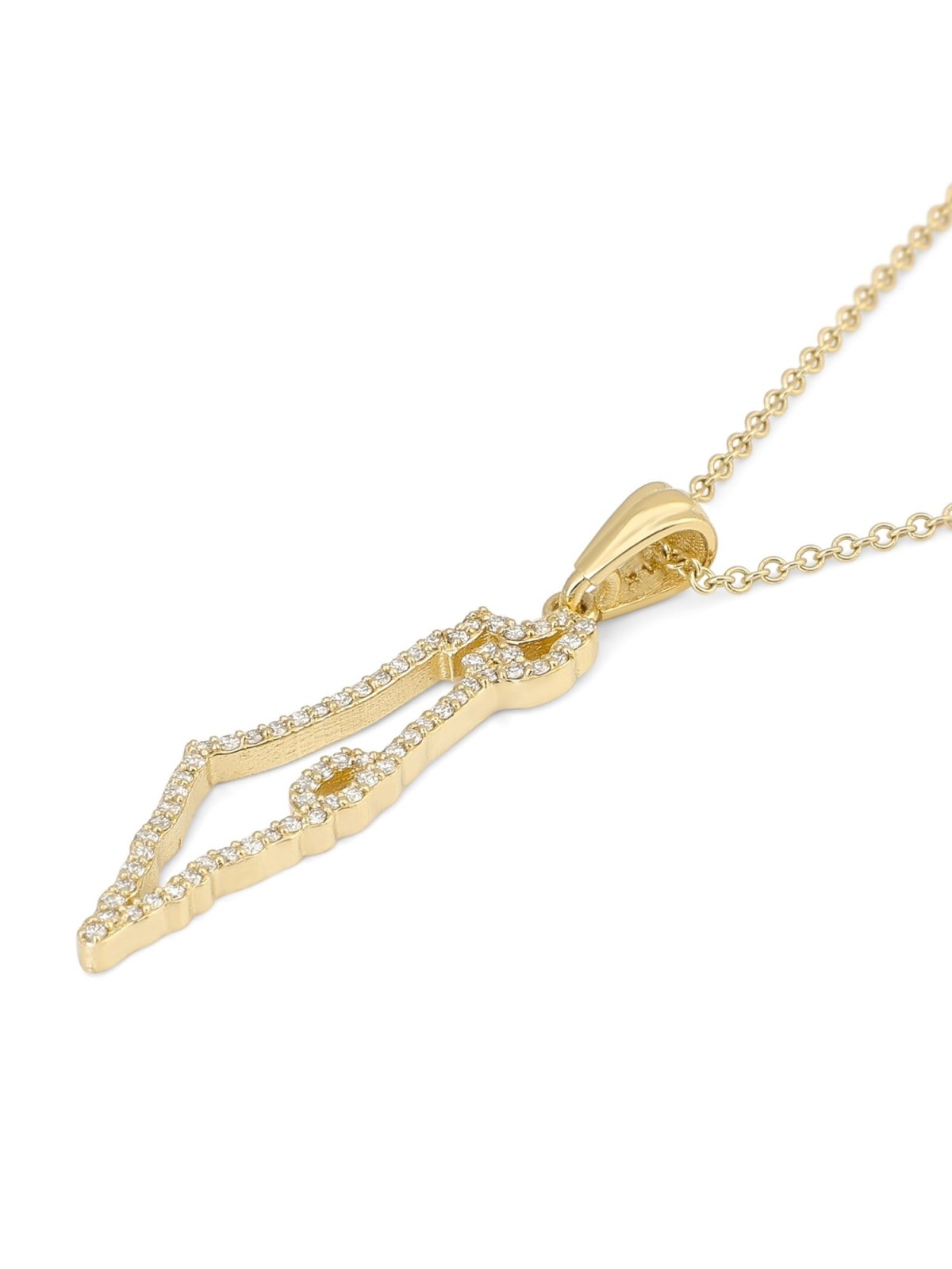 14K Gold Women's Map of Israel Pendant Lined with Diamonds - Color Opt