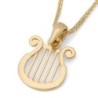 14K Yellow Gold David's Harp Pendant