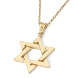 14K Gold Unisex Interlinking Star of David Pendant Necklace - Color/Fi