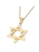 Collier unisexe avec pendentif étoile de David entrelacée en or 14 carats - Couleur/Fi