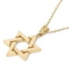 14K Gold Unisex Interlinking Star of David Pendant Necklace - Color/Fi