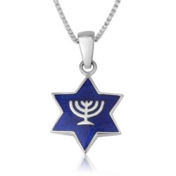 Marina Jewelry Sterling Silver and Blue Enamel Star of David Pendant W