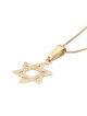 Exclusive 14K Gold Wavy Star of David Pendant Necklace