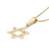 Exclusive 14K Gold Wavy Star of David Pendant Necklace