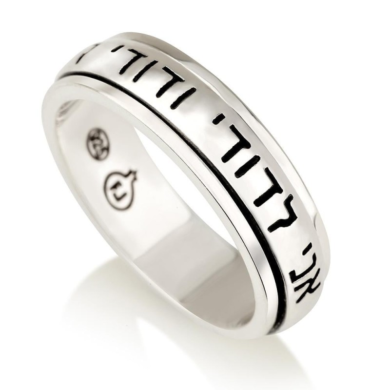 925 Sterling Silver Ani Ledodi Spinner Ring - Rhodium Plated (Song of