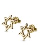 Contemporary 14K Gold Star of David Stud Earrings