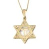 14K Gold Women's Large Textured Star of David and Chai Pendant with St